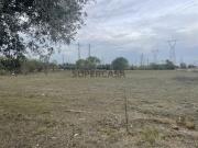 Terreno Rustico Inserido em zona Industrial