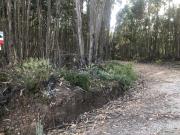 Terreno rústico junto a parque industrial de Figueiró...