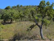 terreno Rustico, Loul Algarve