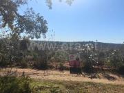 Terreno Rústico, Malpica Do Tejo, Castelo Branco | BPI...