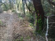 Terreno Rústico Mosqueirões