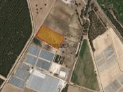 Terreno Rústico * Muge