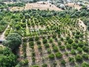 Terreno rústico na Branqueira