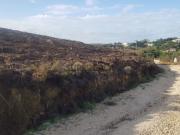 Terreno Rústico na Fonte Grada, Torres Vedras