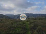 Terreno Rústico na Serra de Santa da Fonte de Bispo