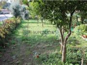 Terreno rústico na zona da Vila de Arganil com uma...