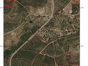 Terreno Rústico, Ninho Do Açor e Sobral Do Campo,... Terreno Rústico, Ninho Do Açor e Sobral Do Campo,...