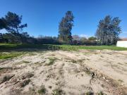 Terreno Rústico no Penteado – Excelente Localização