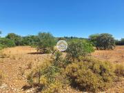 Terreno Rústico nos Arredores de São Brás de Alportel