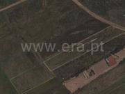 Terreno Rústico, Ovar, São João, Arada e São Vicente de...