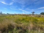 Terreno Rústico, Ovar, São João, Arada e São Vicente de...
