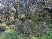 Terreno 900 m² p/ construção Urbano Tipo III