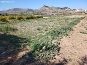 Terreno rústico para el cultivo