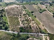 TERRENO RÚSTICO PARA EXPLORAÇÃO AGRÍCOLA COM 57 324m²