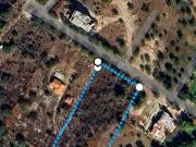 TERRENO RUSTICO PARA INVERSIONISTA O BUSCA TIERRAS PARA...