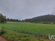 TERRENO RUSTICO PARA SIEMBRA EN VENTA EN CUAUTEPEC,HIDALGO