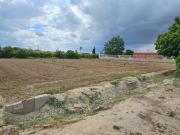 Terreno rústico para tu disfrutar de la huerta