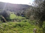 Terreno Rustico para Venda | Cerro | Alte | Loulé