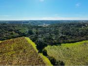 Terreno Rústico para venda em Alforgemel, Almoster