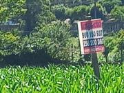 Terreno Rústico para venda em Escariz, Arouca