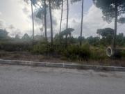 Terreno Rústico para venda em Quinta do Conde