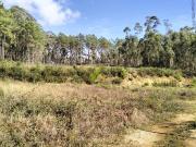 Terreno rústico Paradela