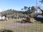 Terreno Rústico, Pego, Abrantes | BPI Expresso Imobiliário