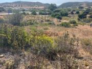 Terreno Rustico / Perto da Aldeia da Figueira