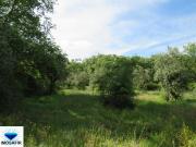 Terreno rústico plano com pequeno anexo em pedra rodeado...