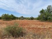 Terreno Rústico Plano com Vista Mar em Conceição