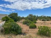 Terreno Rústico Plano em Bela Salema, Faro