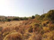 Terreno Rústico plano em Cerro de São Miguel, Estoi