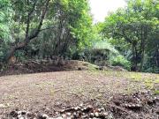 Terreno Rústico, Porto Formoso, Ribeira Grande | BPI...