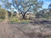 Terreno rústico, Povoa Rio Moinhos