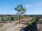 TERRENO RÚSTICO PRÓXIMO DA PEDRALVA