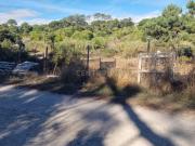 Terreno Rústico Quinta da Rosa