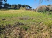 Terreno Rústico | Requeixo