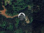 Terreno Rústico, São Jorge, Santana | BPI Expresso...