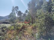 Terreno Rústico, São Martinho de Sardoura, Castelo de...