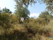 Terreno Rústico, Salgueiro do Campo | 26013897362