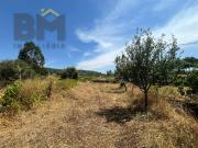 Terreno Rústico, Salgueiro Do Campo, Castelo Branco |...