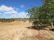 Terreno Rústico, Santa Bárbara de Nexe, Faro | BPI...
