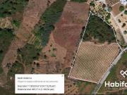 Terreno Rústico, Santar e Moreira, Nelas | BPI Expresso...