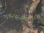 Terreno Rústico, Sarzedas, Castelo Branco | BPI Expresso...