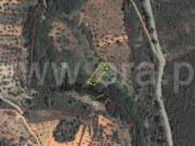 Terreno Rústico, Sarzedas, Castelo Branco | BPI Expresso...