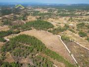 Terreno Rústico, Sarzedas, Castelo Branco | BPI Expresso...
