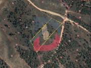 Terreno Rústico, Sarzedas, Castelo Branco | BPI Expresso...