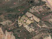 Terreno Rústico, Sarzedas, Castelo Branco | BPI Expresso...