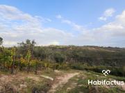 Terreno Rústico, Silgueiros, Viseu | BPI Expresso...