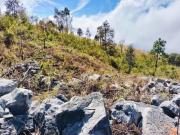 Terreno rustico sobre Carretera San Cristóbal Tuxtla
